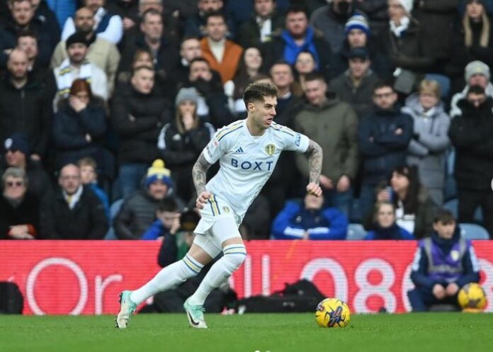 Joe Rodon